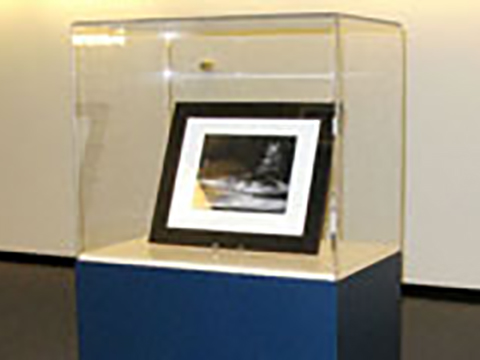 Exhibit Case - Blue Pedestal Exhibit Case - Blue Pedestal