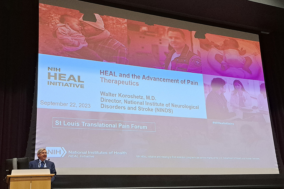 Walter Koroshetz, M.D., speaking at this year's Translation Pain Research Forum. A speaker stands at a podium. A large screen reads N I H Heal Initiative September 22, 2023, HEAL and the Advancement of Pain Therapeutics Walter Koroshetz, M.D. Director, National Institute of Neurological Disorders and Stroke (NINDS) St. Louis Translational Pain Forum